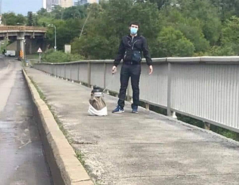 Фото dtp.kiev.ua