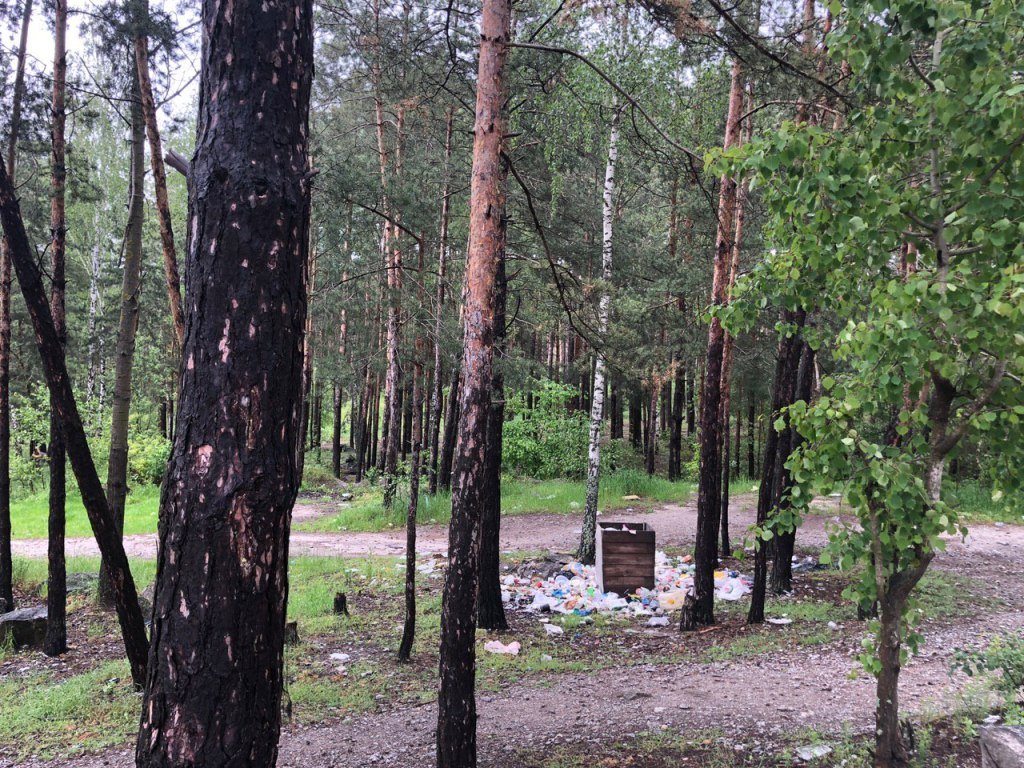 А вот отдыхающие явно забывают увозить обратно то, что привезли на отдых