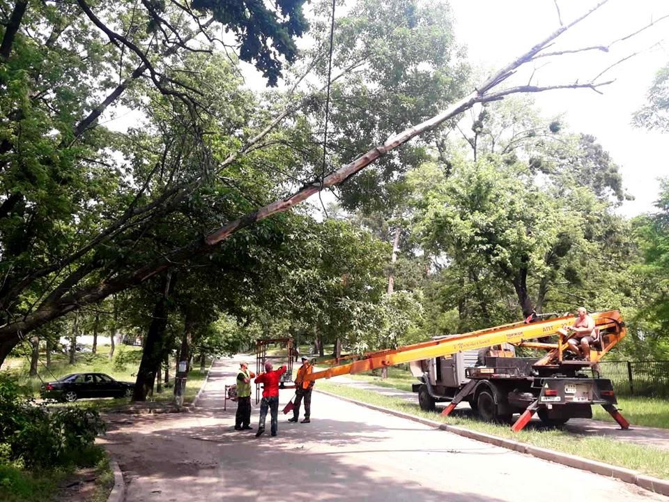 Во время непогоды по всему городу ветром завалило деревья