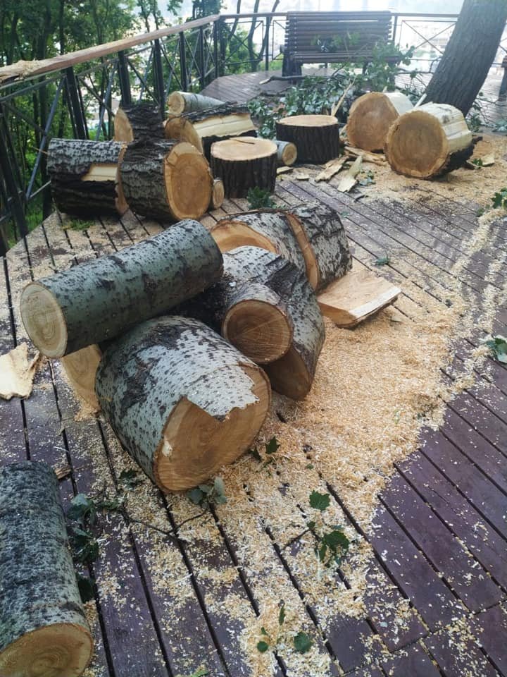 Упавшее дерево повредило Аллею художников