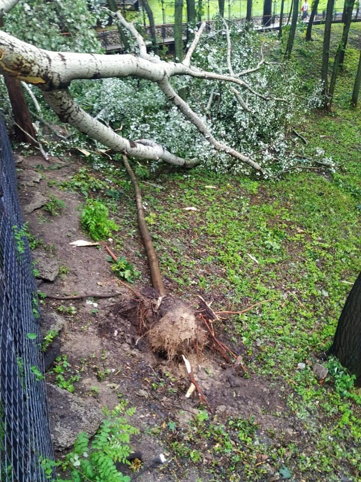 Благо, никто не пострадал