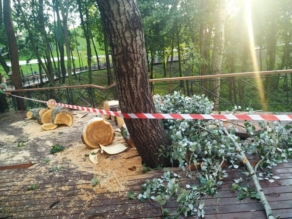 Коммунальщики сразу начали ликвидировать последствия непогоды