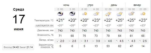Погода на 17 июня: в Киеве снова дождь с грозами 1