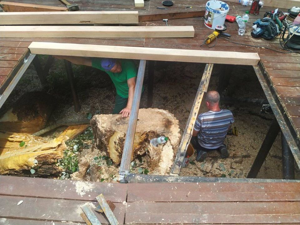 Упавшее аварийное дерево полностью спилили