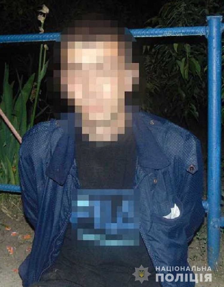 Дважды ударил по голове рукояткой от топора: в Киеве мужчина из-за телефона напал на девушку 1