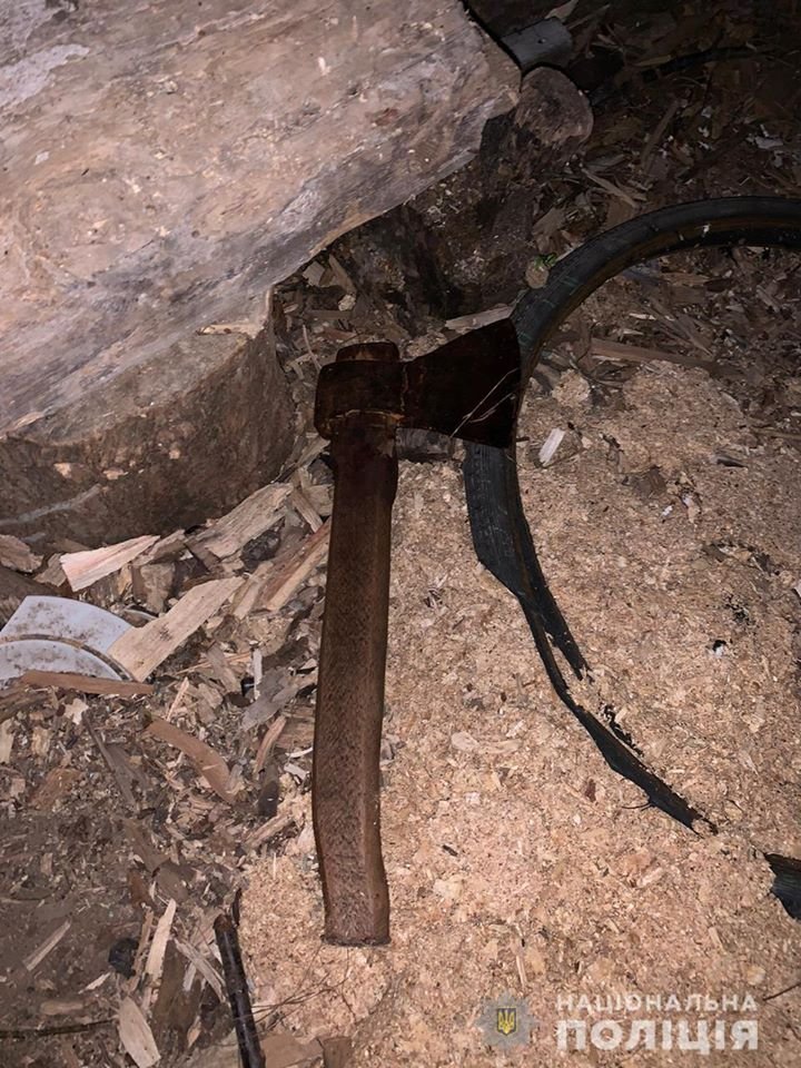 Под Киевом пьяный мужчина зарубил топором сожительницу сына 1