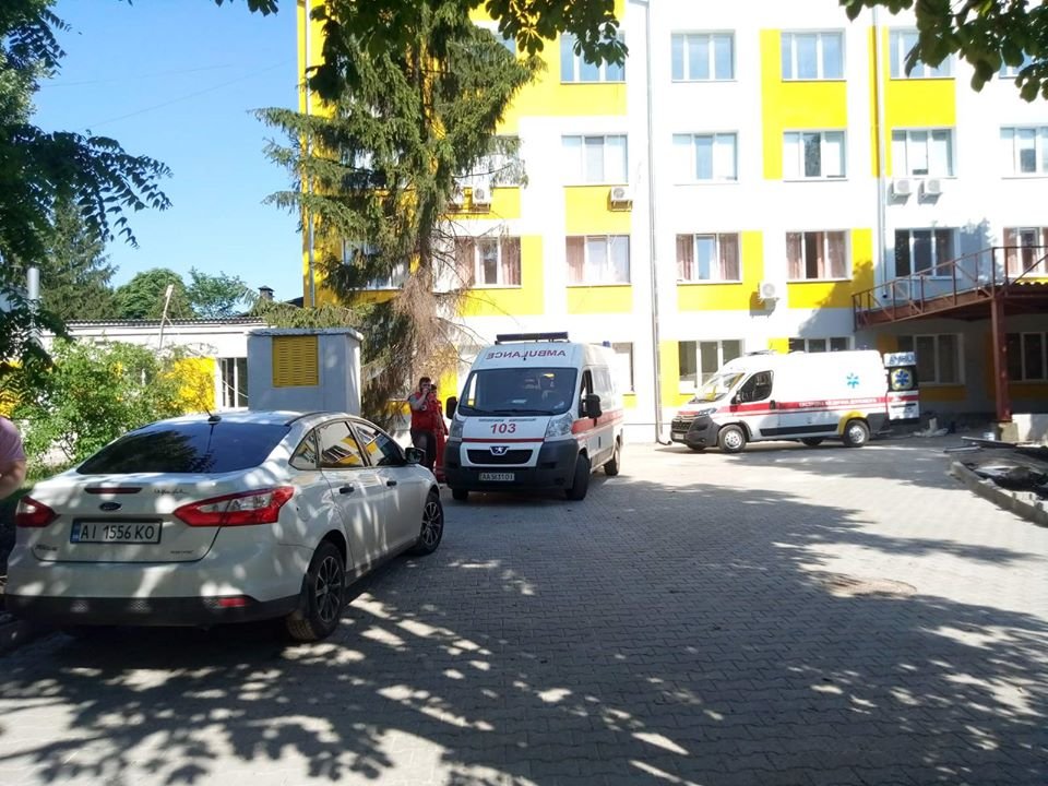 Под Киевом гадюка укусила ребенка: как избежать контакта и что делать при укусе 1