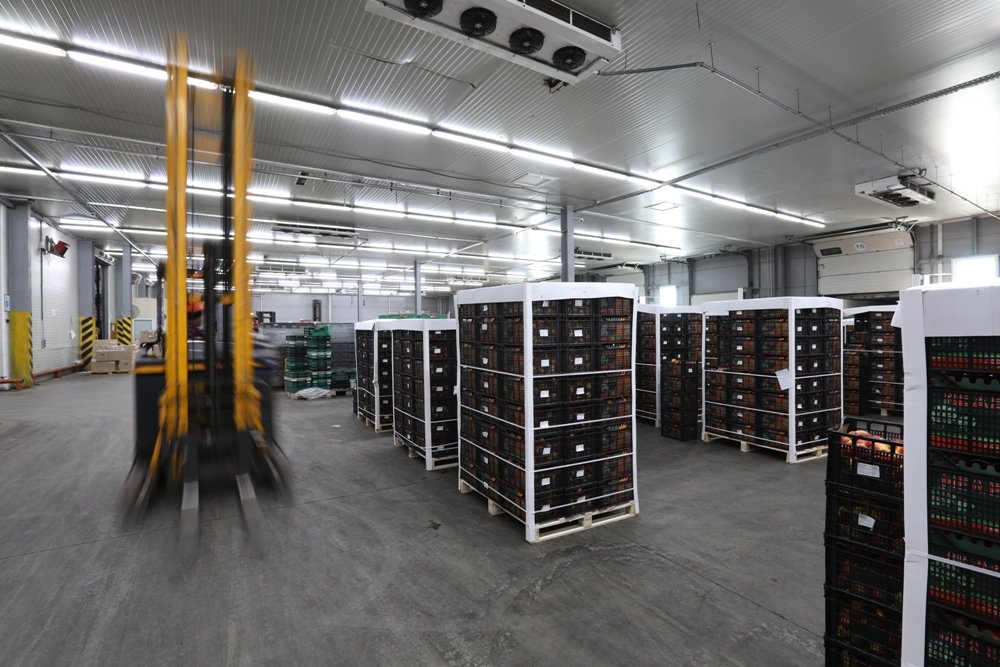 Борис Марков рассказал, как логистика помогает компании АТБ быть эффективнее конкурентов 3