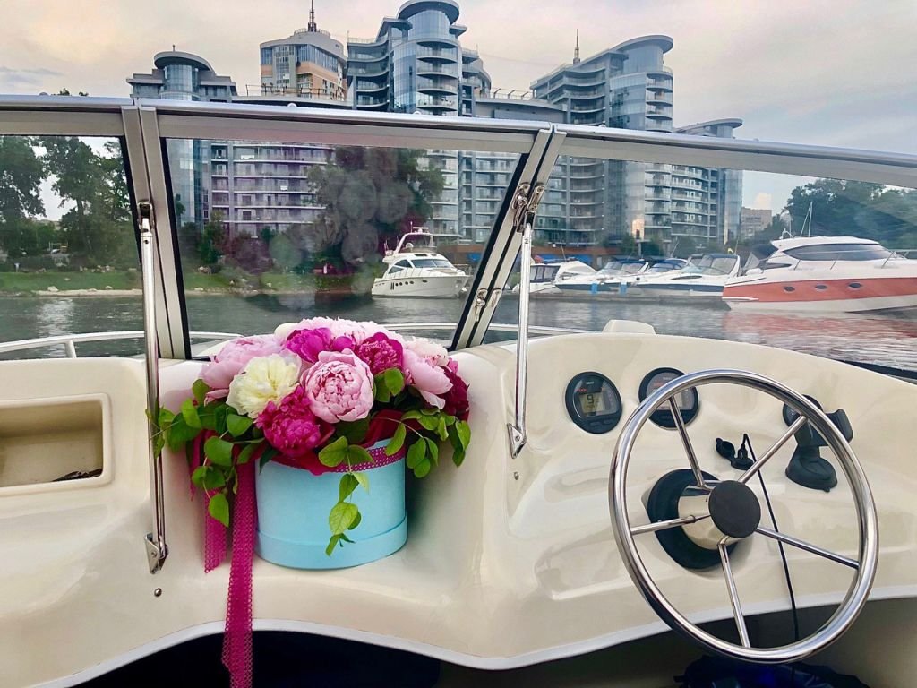 Затонувшие корабли, дикие острова и поселения аистов: в Киеве появился сервис авторских прогулок по Днепру 4