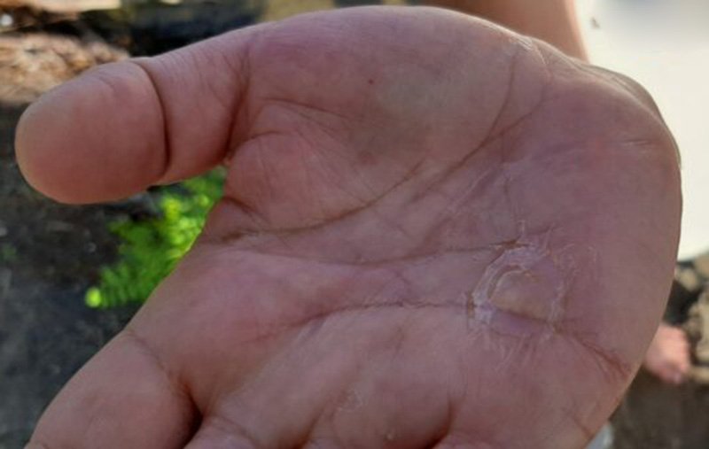 в некоторых заливах купаешься как в киселе