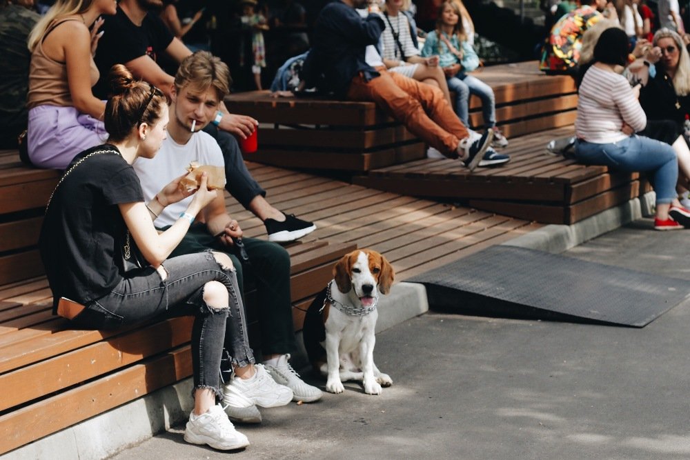 Возвращение Куража: ищи себя на фото карантинной дневной вечеринки 2