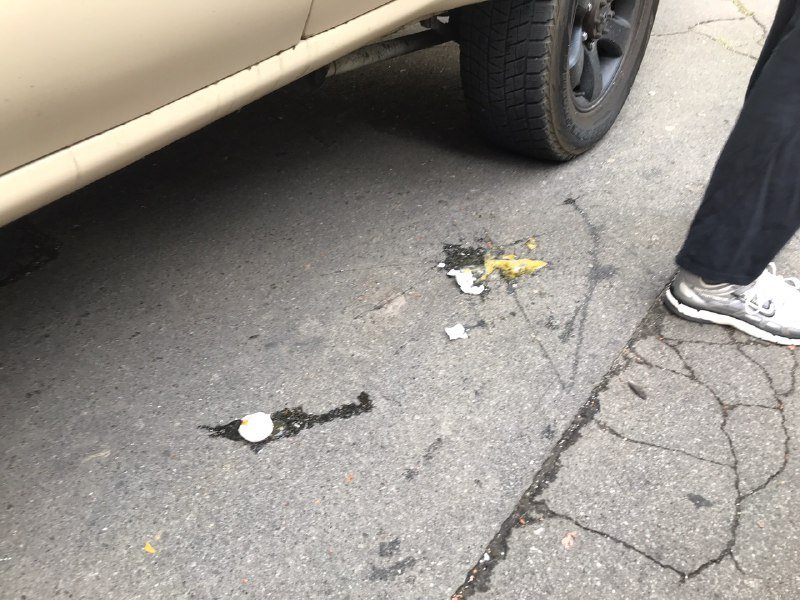 Появилось видео момента задержания активистов на акции протеста под посольством Беларуси в Киеве 1