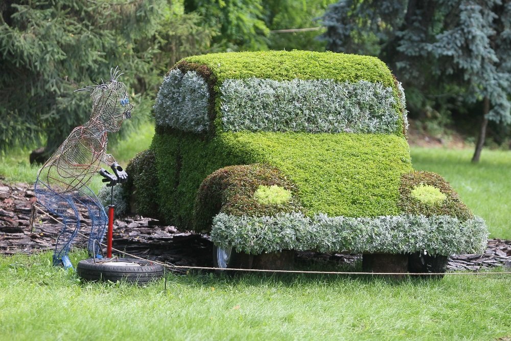 На Певческом поле в Киеве открыли выставку цветов «Мульт-ленд»: с какими сказочными героями можно сделать фото 5