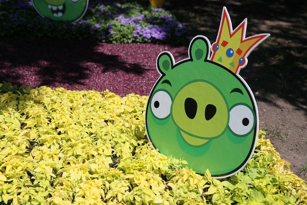 На Певческом поле в Киеве открыли выставку цветов «Мульт-ленд»: с какими сказочными героями можно сделать фото 7