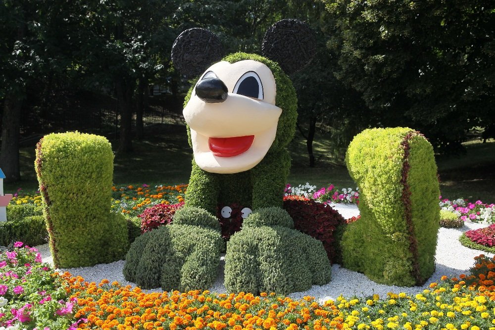 На Певческом поле в Киеве открыли выставку цветов «Мульт-ленд»: с какими сказочными героями можно сделать фото 9