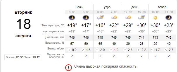 Погода на 18 августа: в Киеве будет облачно и жарко 1