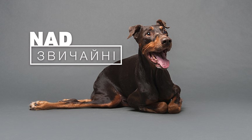 В Киеве на фасаде ТРЦ Ocean Plaza показывают покалеченных животных без глаз и лап 8