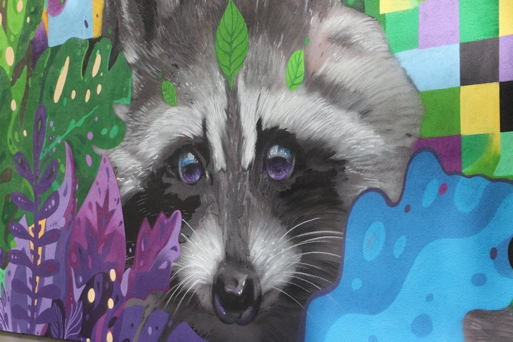 В Киеве на стене больницы "Охматдет" появился умный енот: что значит новый мурал 2