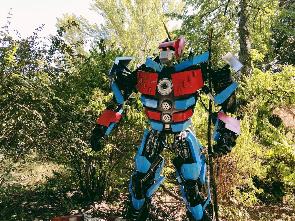 В Киеве на ВДНГ начал работать большой роботопарк 5