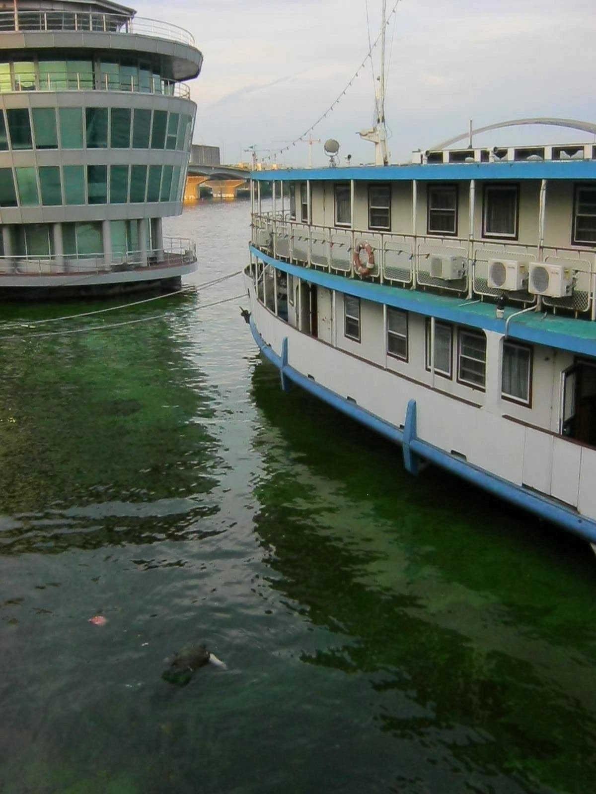 В Киеве на Почтовой площади из Днепра достали тело утопленника 1