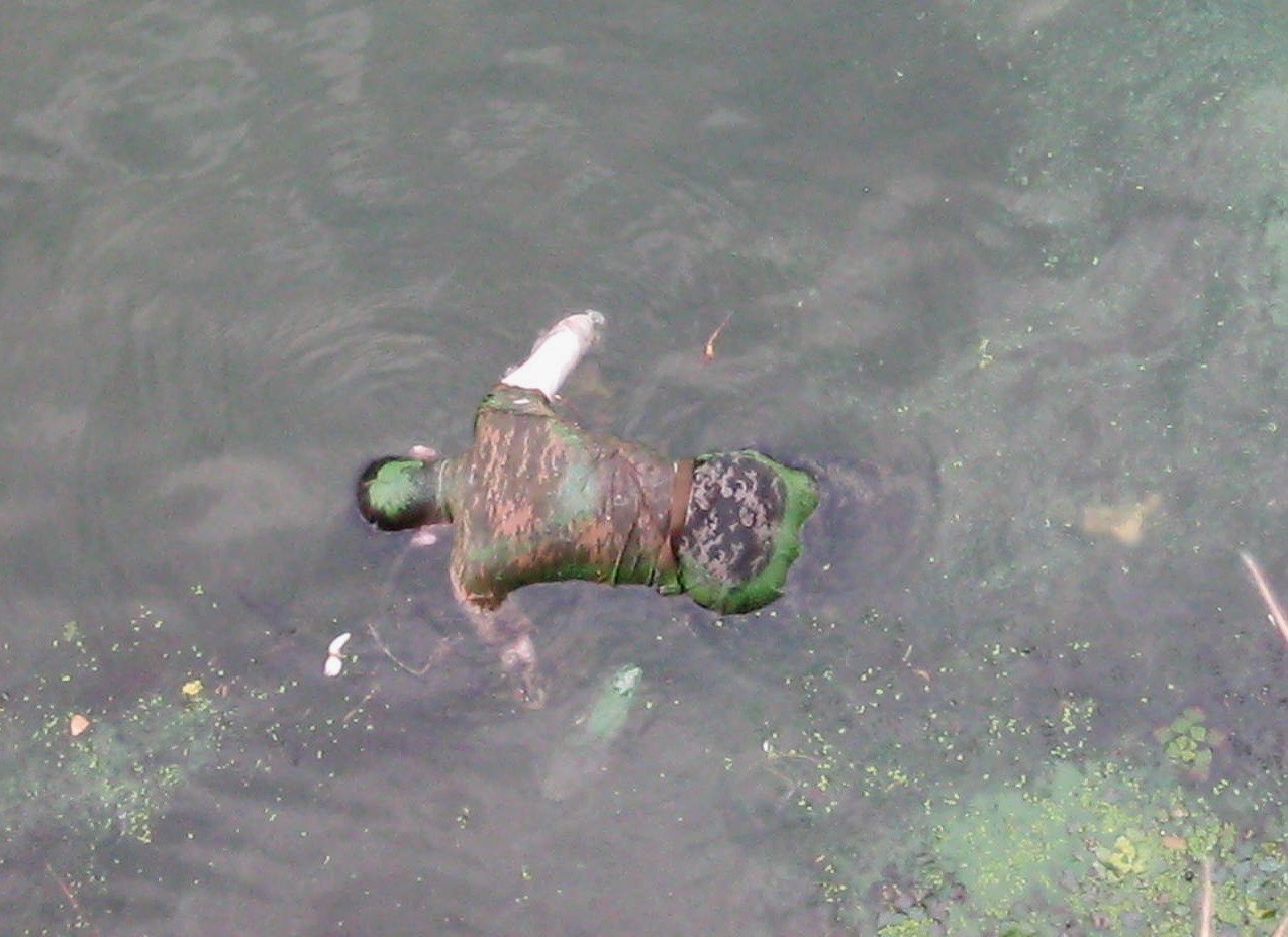 В Киеве на Почтовой площади из Днепра достали тело утопленника 2