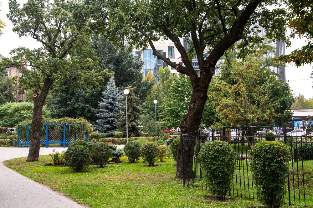 В Киеве открыли новый сквер в честь Мюнхена: где он находится и чем особенный 2