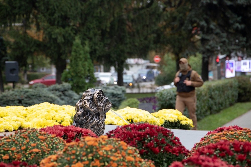 В Киеве открыли новый сквер в честь Мюнхена: где он находится и чем особенный 10