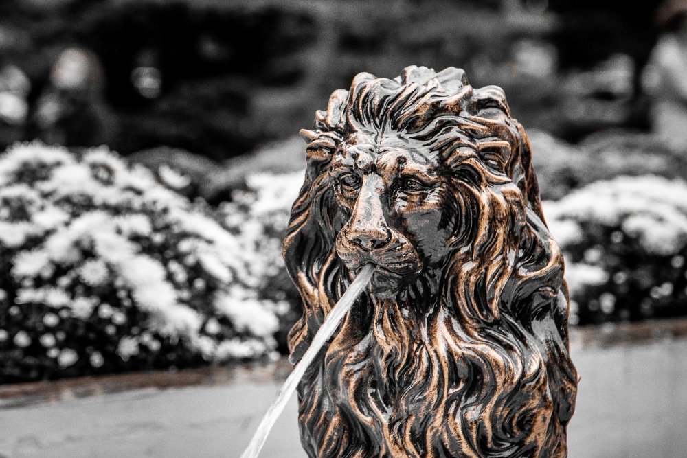 В Киеве открыли новый сквер в честь Мюнхена: где он находится и чем особенный 11