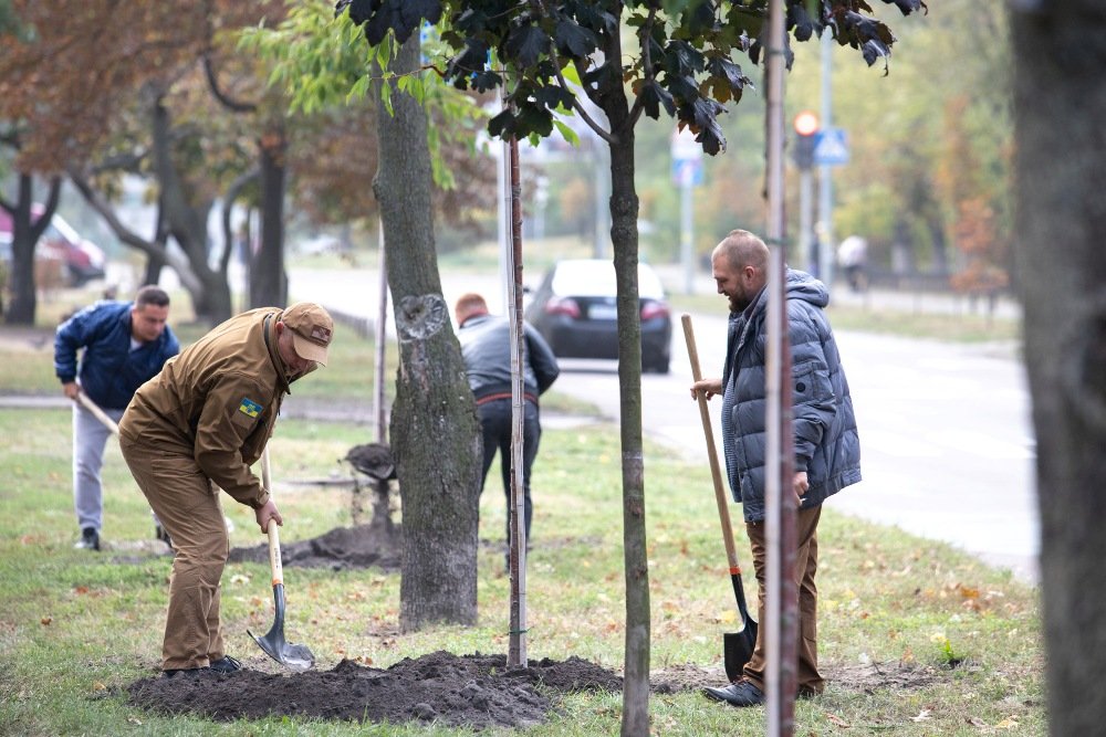 В Киеве высадили самую длинную аллею сакур в Украине: где и сколько метров 1