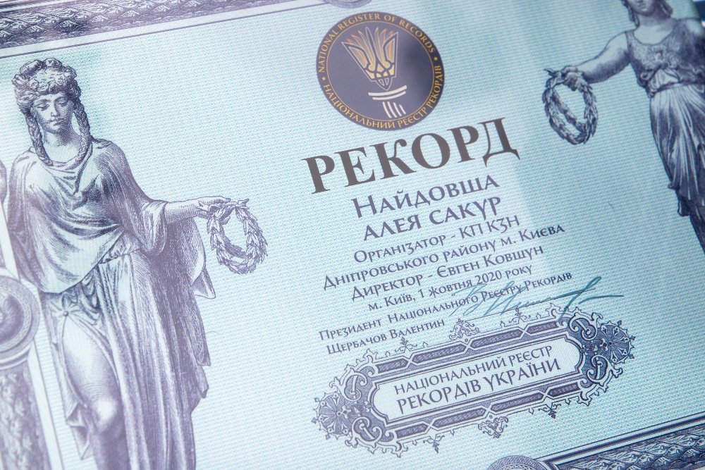 В Киеве высадили самую длинную аллею сакур в Украине: где и сколько метров 6