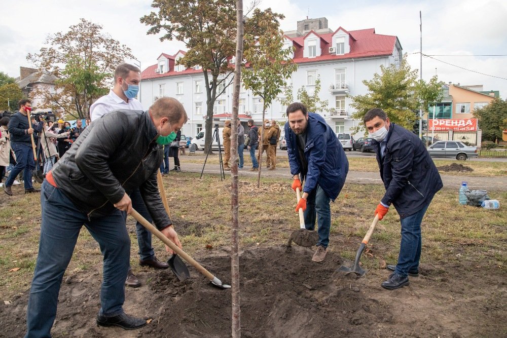 В Киеве высадили самую длинную аллею сакур в Украине: где и сколько метров 7