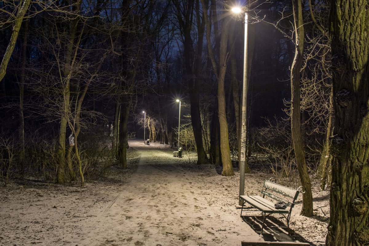 Парк Теремки