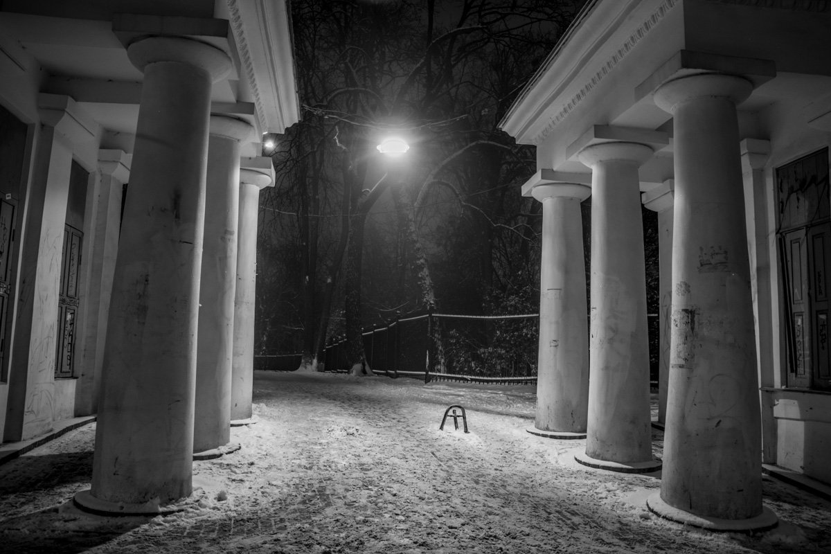 Через несколько часов по этой тропинке в ботаническом саду пройдет не одна тысяча человек