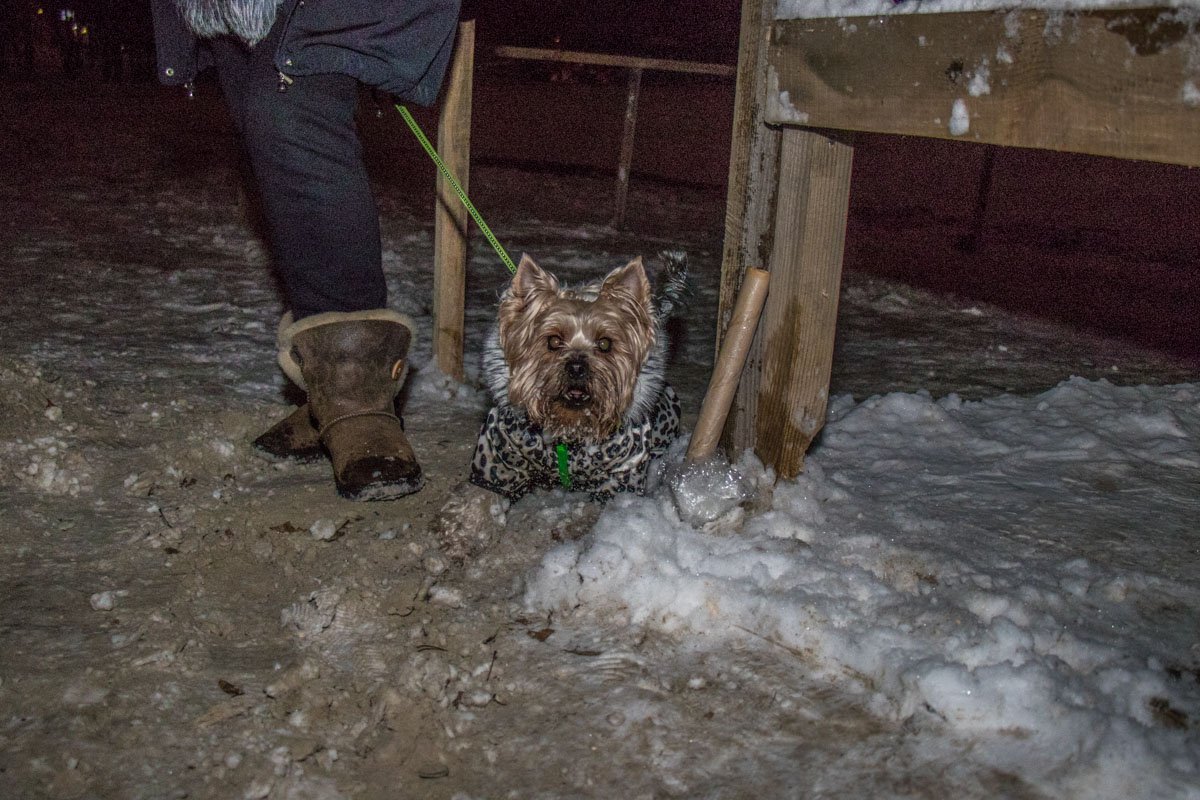 А собачку не искупали