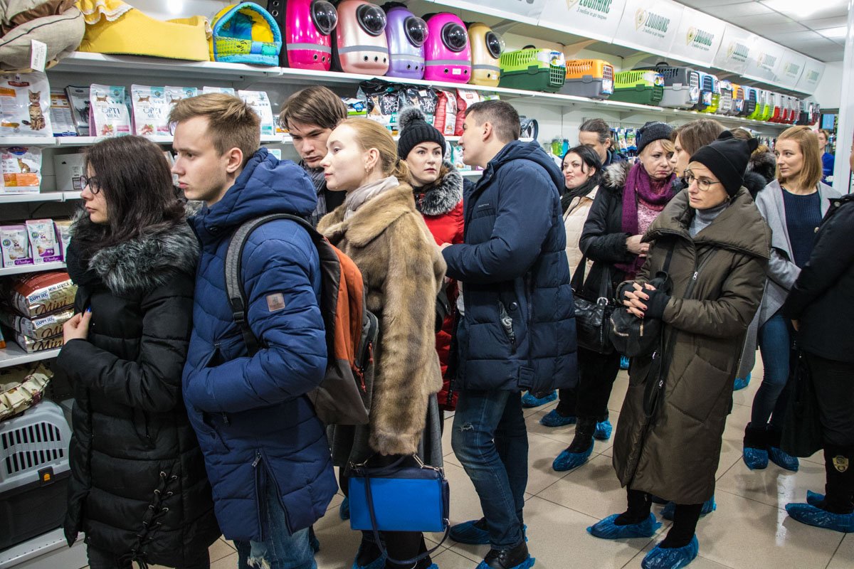 Желающих посмотреть и приютить котиков собралось немало Желающих посмотреть и приютить котиков собралось немало