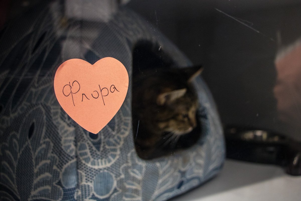 Та самая Флора, которая уже сегодня поедет в новый домик Та самая Флора, которая уже сегодня поедет в новый домик