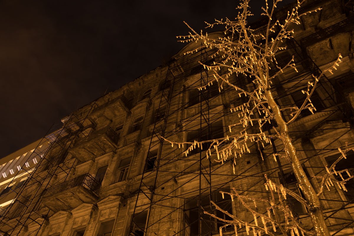 Мороз не пожалел даже деревья 