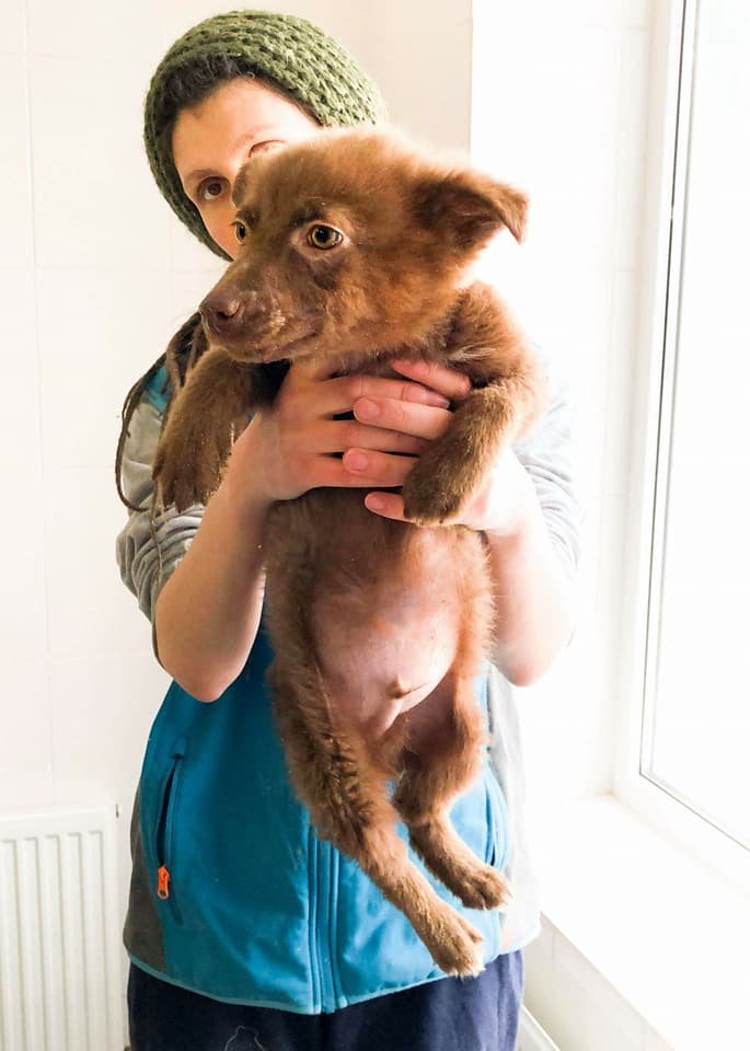 Невероятной красоты кроха Чоко 