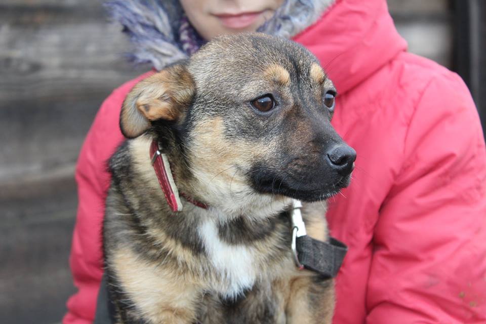 Пуговка - невероятно нежное и трогательное создание