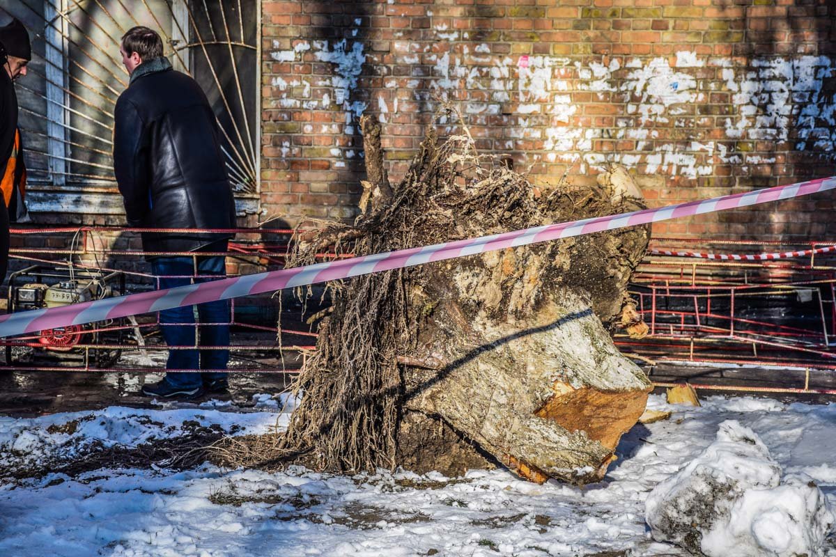 Пень - виновник происшествия Пень - виновник происшествия
