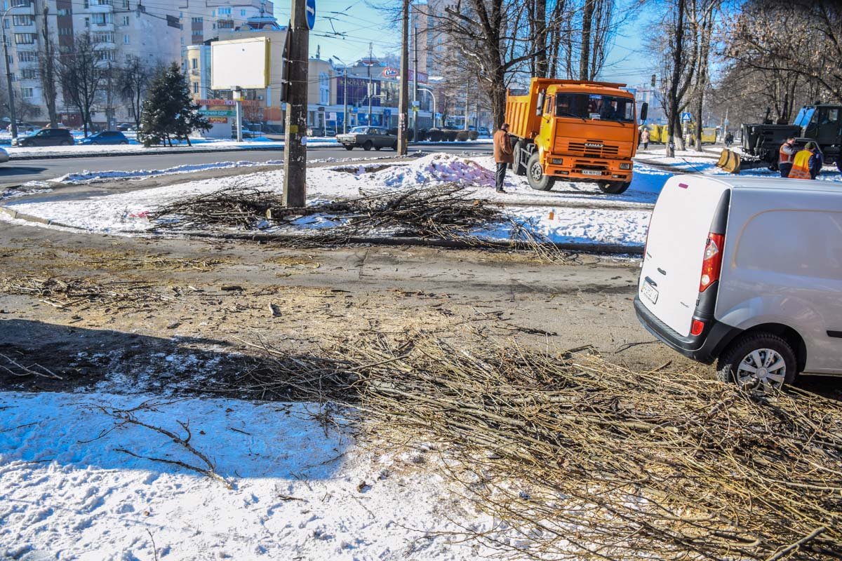 Остатки дерева раскиданы по дороге Остатки дерева раскиданы по дороге