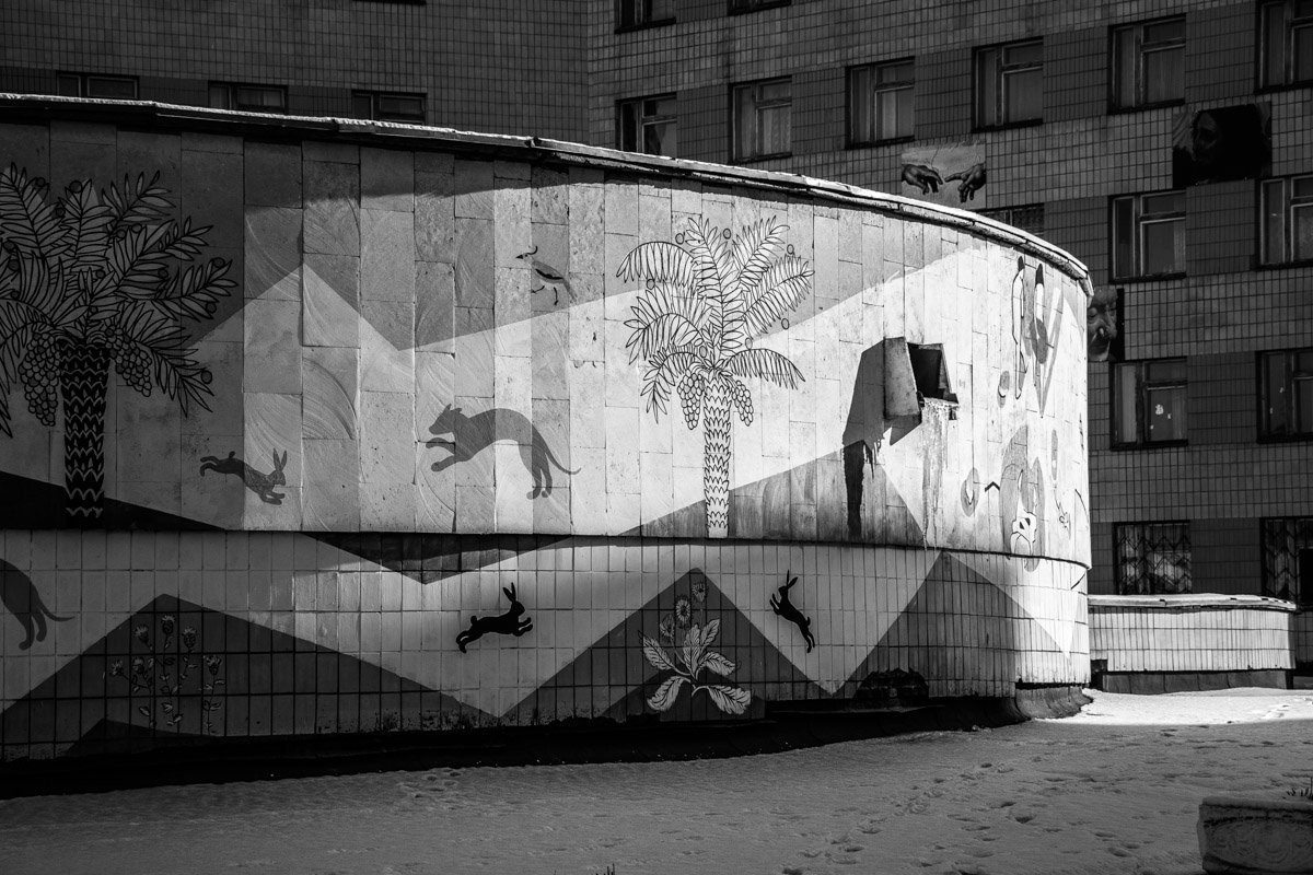 Настенный зоопарк