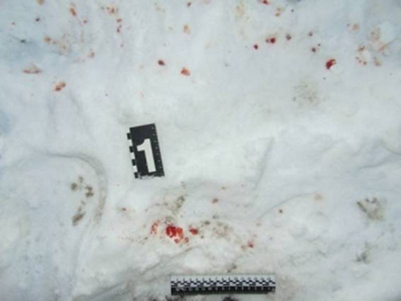 На место происшествия прибыли полицейские и следователь