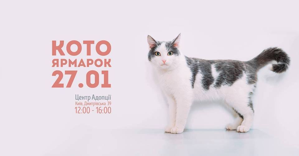 27 января: куда пойти сегодня 1