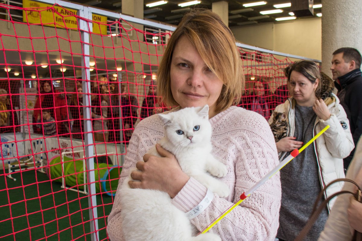 Голубоглазая блондинка 