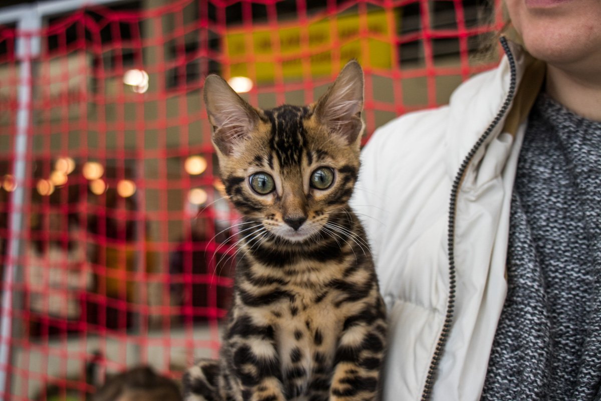 Твоя реакция на неожиданное фото