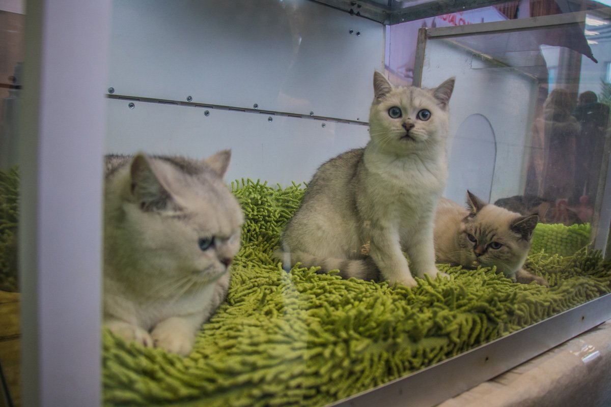 Фото: Виталий Куздровский 