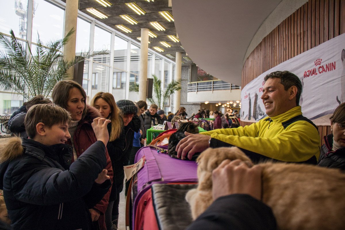 На этом фото веселятся все, кроме котэ