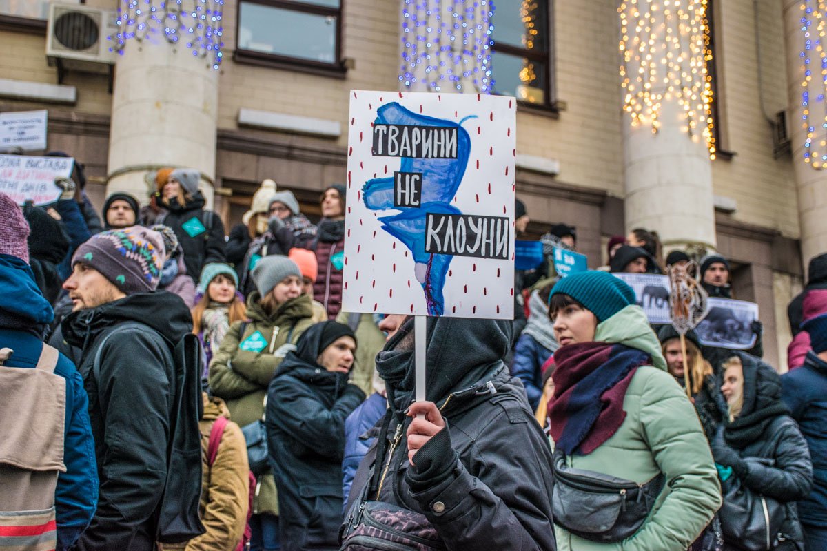 Зооактивисты вышли на акцию против выступлений диких животных в цирке 