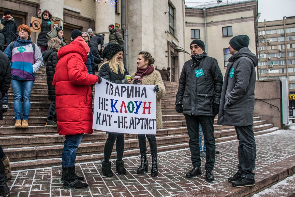 На холоде зоозащитники согревались холодным кофе 